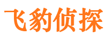 尚志市调查公司